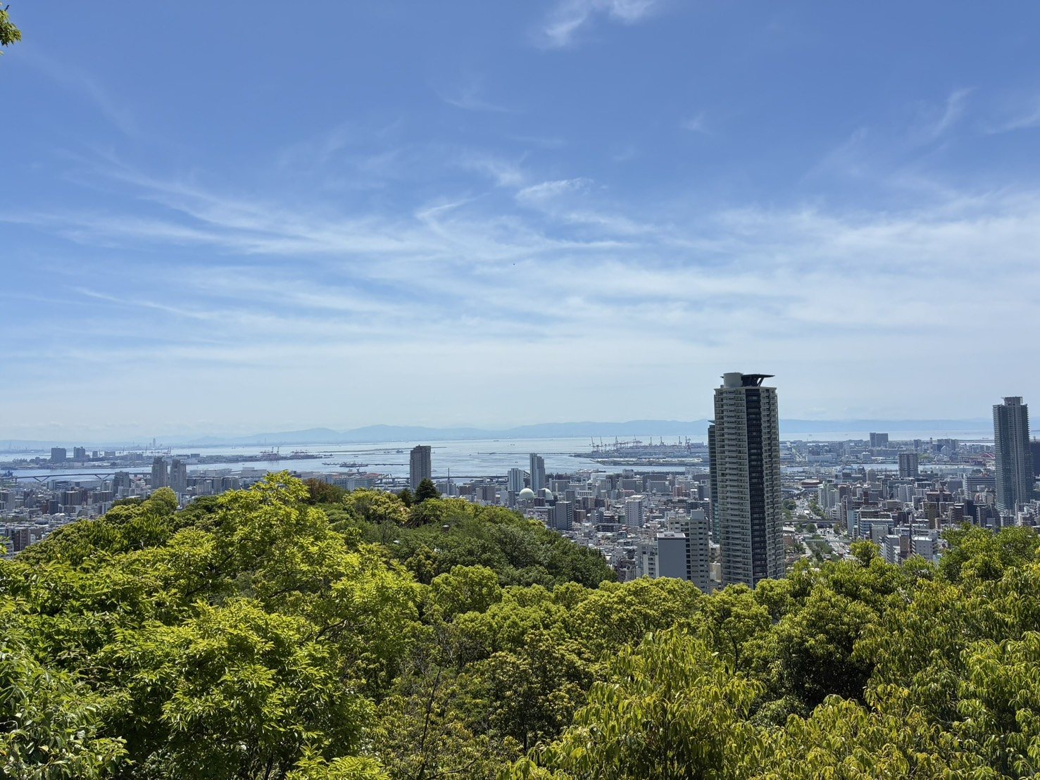 六甲の山から神戸の街と海を見下ろす風景